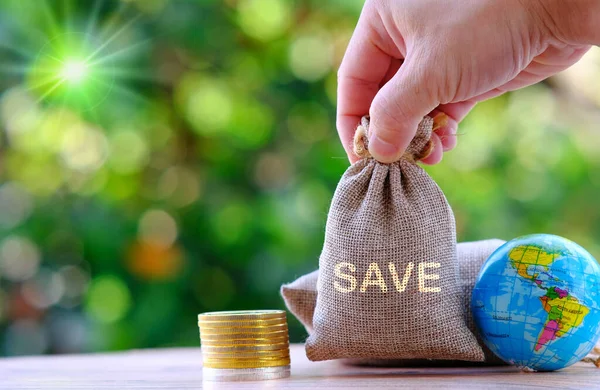 Coins Wooden Table Saving Money Business Growth Concept Finance Investment — Stock Photo, Image