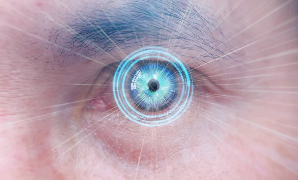 human eye with blue eyes and zoom