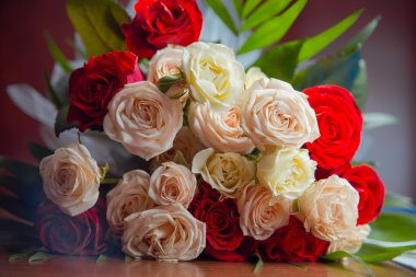 , Gül, beyaz, arka plan, pembe, çiçek, doğa, güzellik, renk,