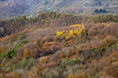İtalya 'da yaprakların renk değiştirdiği tipik sonbahar manzarası.