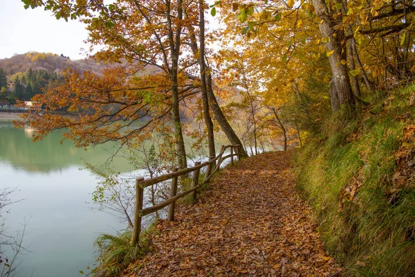 Pathway Lake Brugneto Autumn Province Genoa Antola Park Italy — Stock Photo, Image