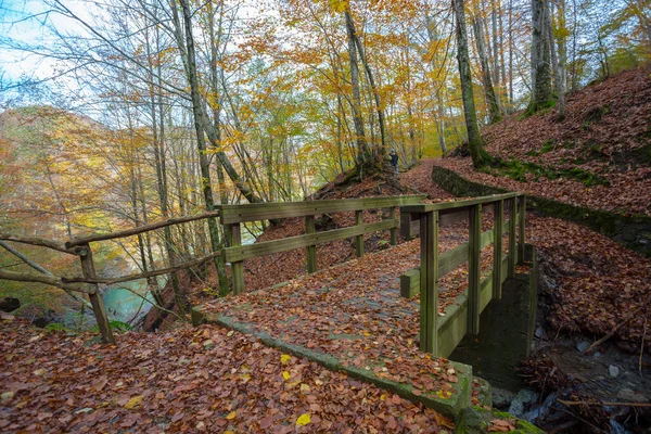 Wooden Bridge Pathway Lake Brugneto Autumn Province Genoa Antola Park — Stock Photo, Image