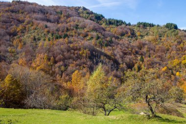 Aveto Bölgesel Doğal Parkı 'nda sonbahar manzarası, Cenova ili, Liguria, İtalya.