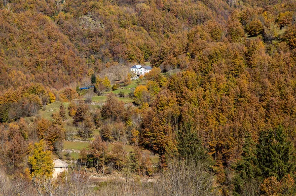 Najaarslandschap Het Regionale Natuurpark Aveto Provincie Genua Ligurië Italië — Stockfoto