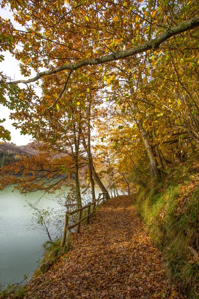 Vägen Till Sjön Brugneto Höst Provinsen Genua Antola Park Italien — Stockfoto