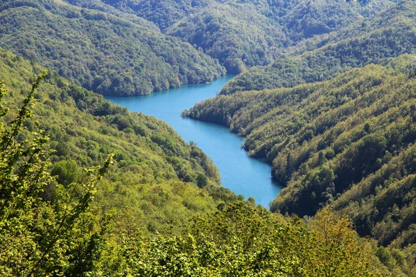 Вид Воздуха Озеро Бругнето Провинция Генуя Италия — стоковое фото
