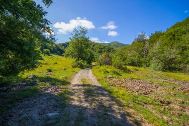 İtalya 'nın Cenova eyaletinin Ventarola köyü yakınlarındaki Ramaceto Dağı patikasında yol.