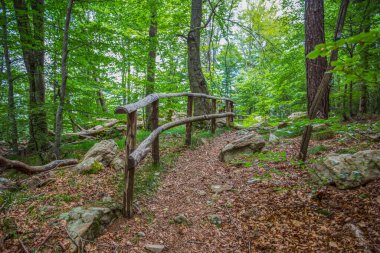 Zatta Dağı 'ndaki patika, İtalya' nın Ligurian Apennines, Cenova ve La Spezia eyaletlerinin masif 'i.
