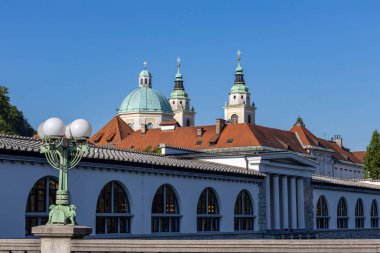 LJUBLJANA, SLOVENIA, 16 Temmuz 2024 - Ljubljana, Slovenya, Avrupa 'daki Ejderha Köprüsü ve St. Nicholas Katedrali