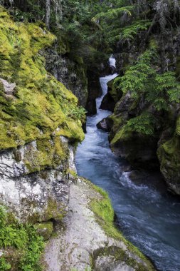 Buzul akıntısı kayalıklardan geçiyor.