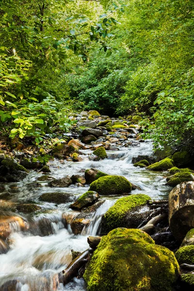 ormanda güzel akışı