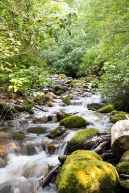 Kırmızı tuğlalı kule deniz feneri