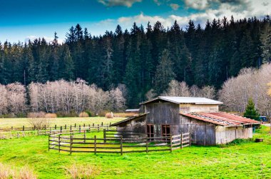Eski ahır bir dağa bağlanmış.