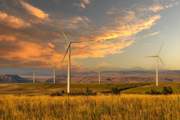 Beautiful orange sunset on a windmill farm