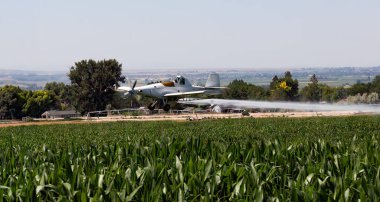 Mısır tarlasını ilaçlayan ilaçlama uçağı