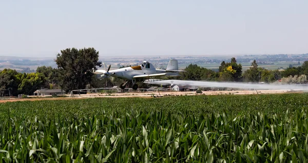 Crop duster airplane dusting a corn field