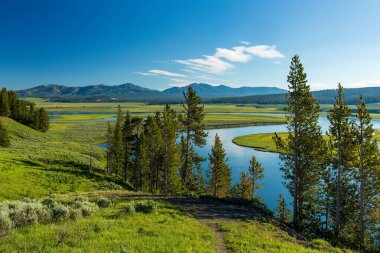 Yellowstone nehri içinden geçen Hayden Vadisi manzarası.