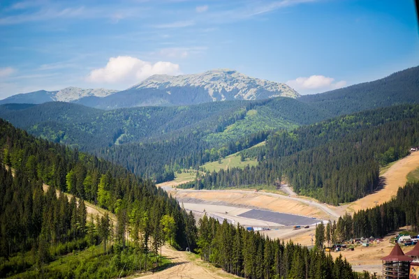 Spring forest — Stock Photo, Image