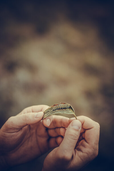 Морские горы
