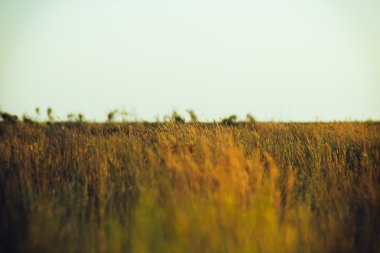 Denizin üzerinde güzel bir gün batımı