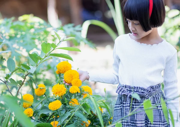 Seorang Gadis Cantik Mengagumi Taman Bunga Kuning — Stok Foto