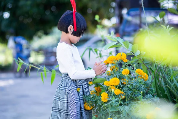 Una Linda Chica Admirando Jardín Flores Amarillas —  Fotos de Stock