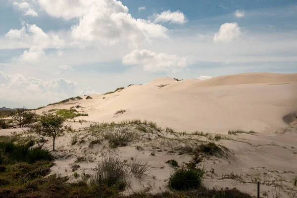 Hollanda 'nın Kuzey Hollanda bölgesindeki kum tepecikleri' schoorlse duinen 'olarak adlandırılır.