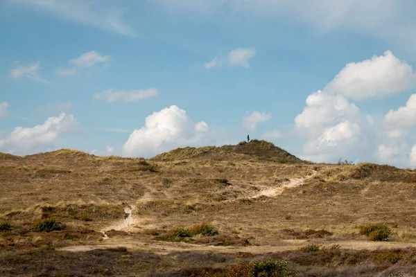 Dunes Area Called Schoorlse Duinen Dune Area Province North Holland — Stock Photo, Image