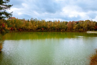 Hardenberg kasabası yakınlarındaki ormandaki Oldemeijer adlı yüzme ve dinlenme gölünde sonbahar.,