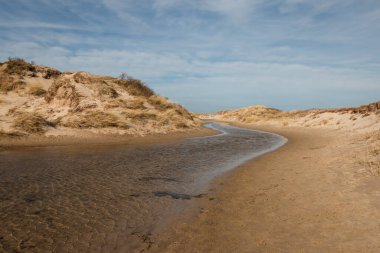 Wadden adası Texel 'deki çamurlu vadide yürüyoruz. Kuzey Denizi ve Hollanda' ya açıkça bağlı kumlu bir ova.