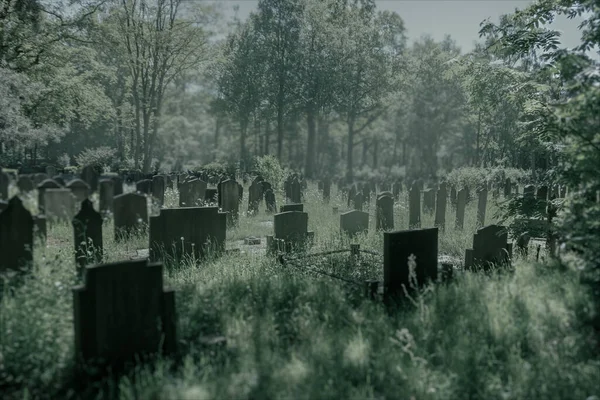 Ancien Cimetière Dans Nord Des Pays Bas Dans Village Zuidwolde — Photo