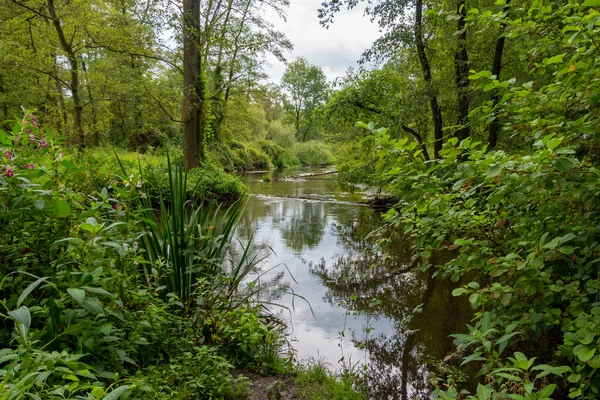 Ποταμός Που Ρέει Γρήγορα Ονομάζεται Swalm Κοντά Στο Χωριό Swalmen — Φωτογραφία Αρχείου