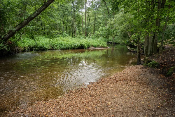 Río Flujo Rápido Llamado Swalm Cerca Del Pueblo Swalmen Provincia — Foto de Stock