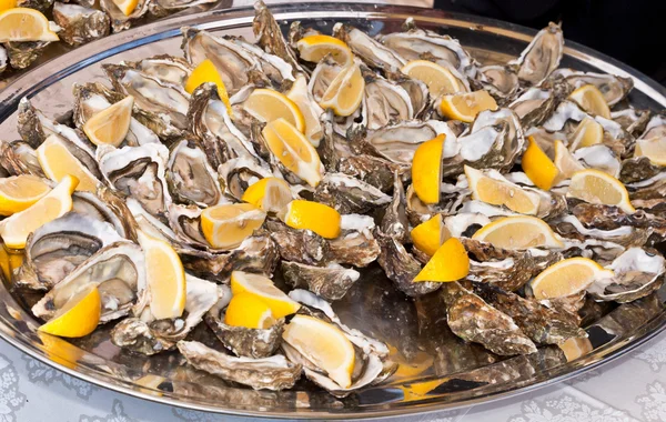 Sappige verse geopende mariene oesters — Stockfoto