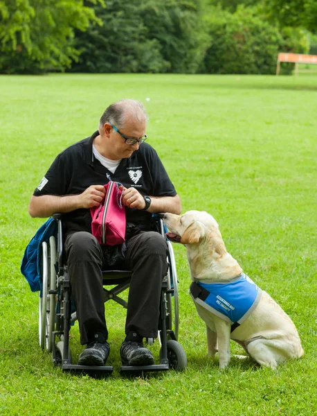 Bir köpek hayat — Stok fotoğraf