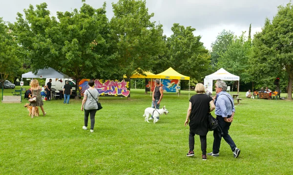 Ett hundliv — Stockfoto