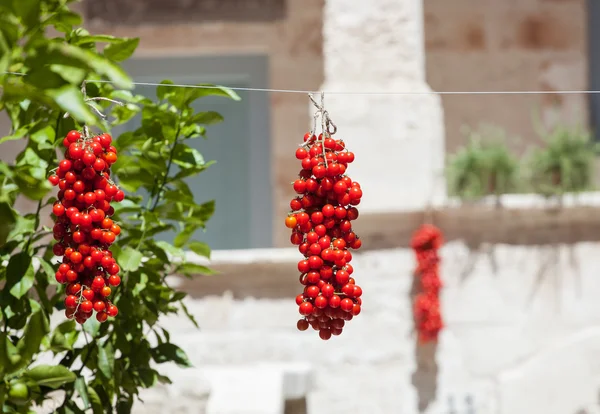Tomates Cherry colgando para secar . — Foto de Stock