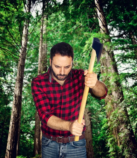 Taglialegna tra gli alberi . — Foto Stock