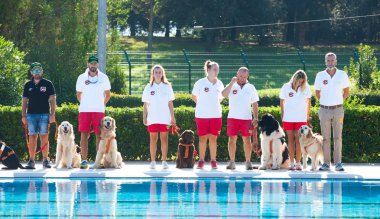 Cankurtaran köpekler ile kurtarma gösteri.
