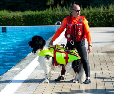 Cankurtaran köpekler ile kurtarma gösteri.