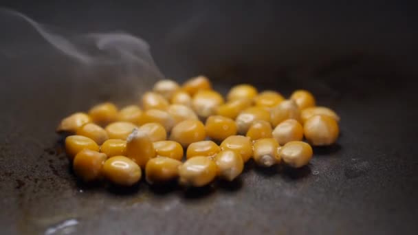 Corn Pan Oil Ready Become Popcorn — Stock Video