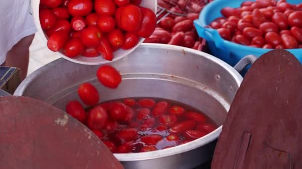 Tradición Italiana Producción Casera Puré Tomate Cada Año Las Familias — Vídeo de stock