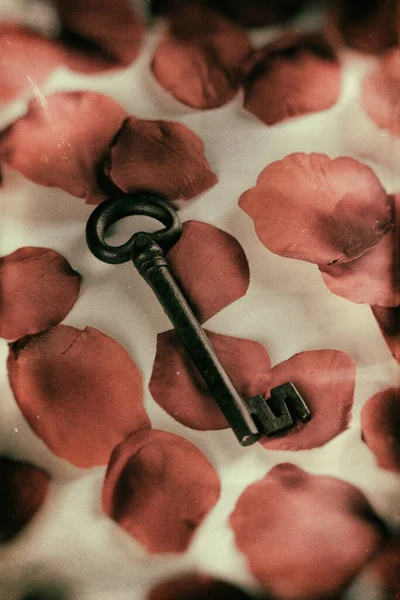 Medieval Wrought Iron Key Red Rose Petals — Stock Photo, Image