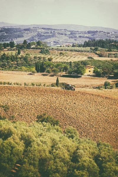 Paisaje Típico Colina Toscana Con Viñedos Olivar Tractor Trabajando Monterappoli —  Fotos de Stock