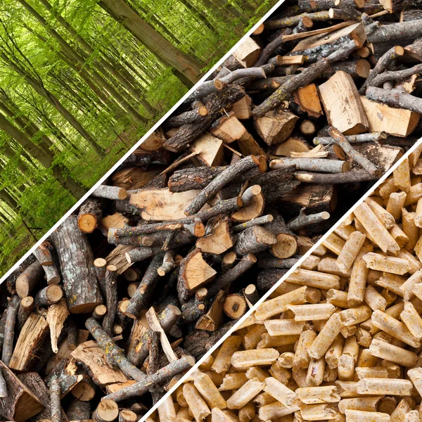 Houten pellets — Stockfoto