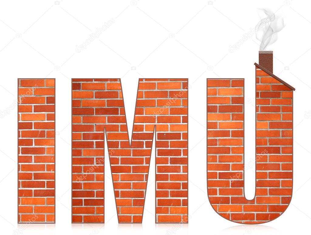 Risultati immagini per imu