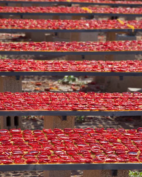Czerwony dojrzałe pomidory suszone — Zdjęcie stockowe