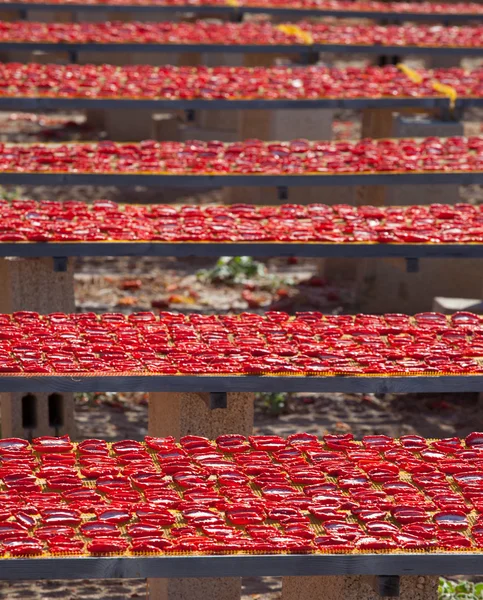 Dried red ripe tomatoes — Stock Photo, Image