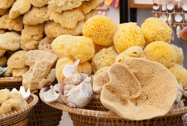 Baskets with natural marine sponges — Stock Photo, Image