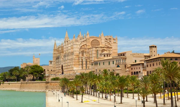 Mallorca La seu katedralen — Stockfoto
